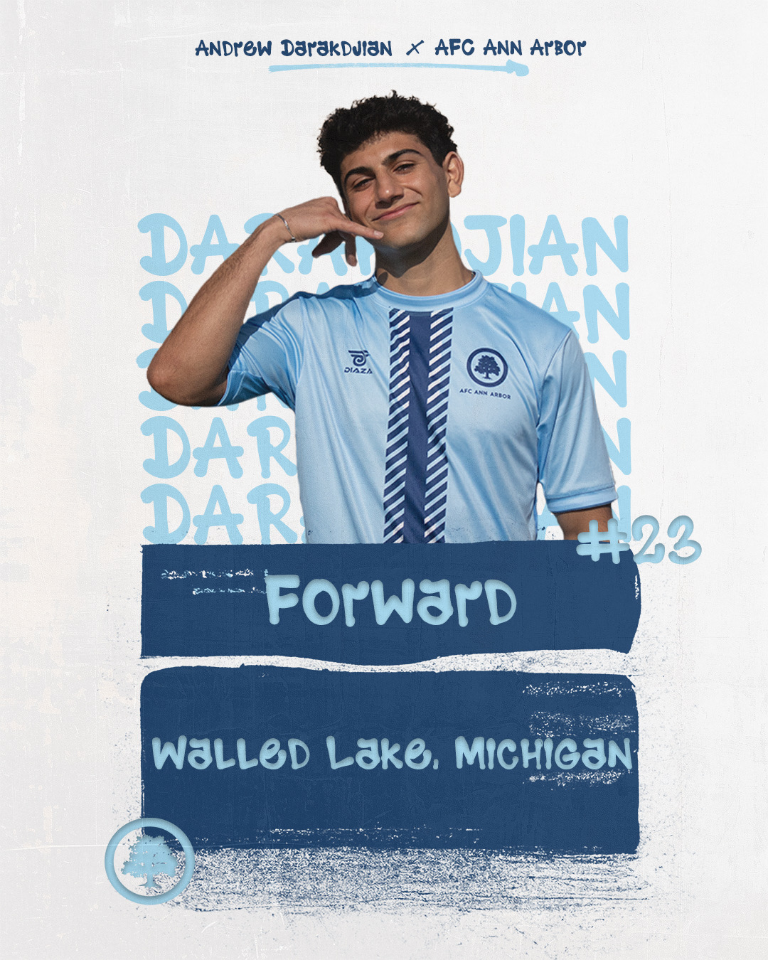 Player Card Series